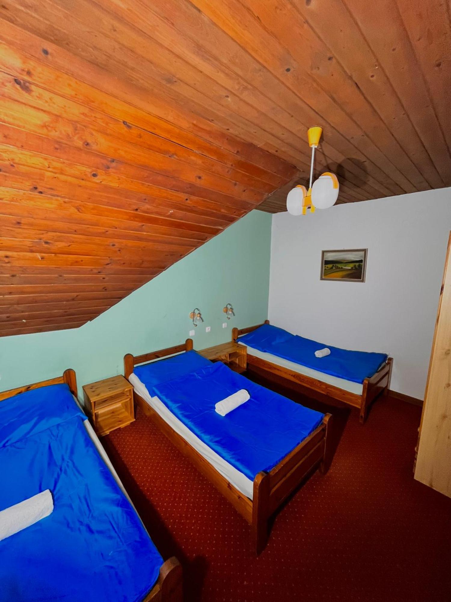 Vila Morava Hotel Lipótszentmiklós Kültér fotó